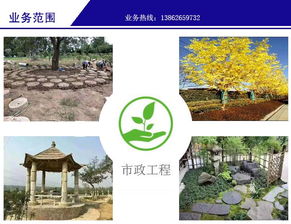 綠化 金碧園綠化 園林設計綠化